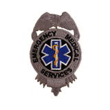 EAGLE W/ CENTER – SILVER – EMS