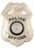 COMMITTED TO EXCELLENCE BLACK/SILVER