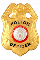 COMMITTED TO EXCELLENCE RED/SILVER