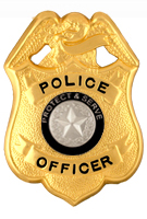 TO PROTECT AND SERVE SILVER