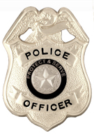 TO PROTECT AND SERVE SILVER