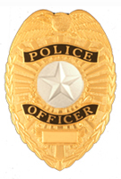 STAR TEXTURED SILVER