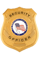 PROTECT AND SERVE FLAG SILVER