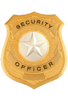 STAR TEXTURED SILVER