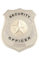 STAR TEXTURED SILVER