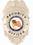 PROTECT AND SERVE FLAG GOLD