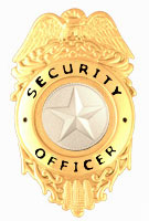 STAR TEXTURED SILVER