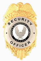 SAFETY PROTECTION SECURITY BLACK/SILVER