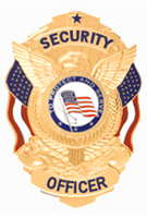 PROTECT AND SERVE FLAG SILVER