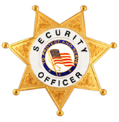 PROTECT AND SERVE FLAG GOLD