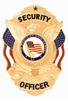 PROTECT AND SERVE FLAG GOLD