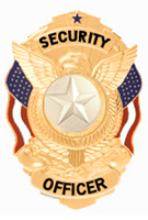 STAR TEXTURED SILVER