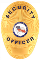 PROTECT AND SERVE FLAG SILVER