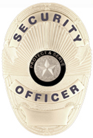 TO PROTECT AND SERVE SILVER