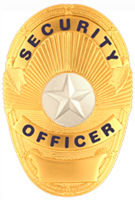 STAR TEXTURED SILVER