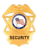 PROTECT AND SERVE FLAG SILVER