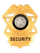 TO PROTECT AND SERVE SILVER