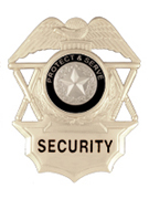 TO PROTECT AND SERVE SILVER