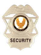 SAFETY PROTECTION SECURITY BLACK/GOLD