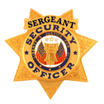 SECURITY 7 PT STAR – GOLD