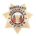 SECURITY 7 PT STAR – SILVER