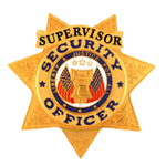 SECURITY 7 PT STAR – GOLD