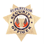 SECURITY 7 PT STAR – SILVER