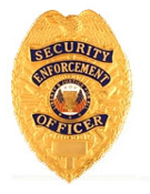 SECURITY ENFORCEMENT SHIELD BLUE ENAMEL – GOLD