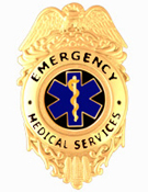 STAR OF LIFE – BLACK/GOLD