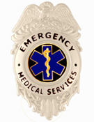 STAR OF LIFE – BLACK/GOLD