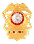 COMMITTED TO EXCELLENCE RED/SILVER