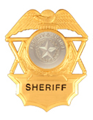 LIBERTY & JUSTICE SILVER