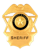 TO PROTECT AND SERVE GOLD