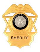 TO PROTECT AND SERVE SILVER