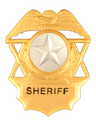 STAR TEXTURED SILVER