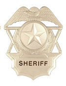 STAR TEXTURED SILVER